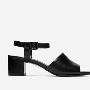 Everlane Block Heel Sandal